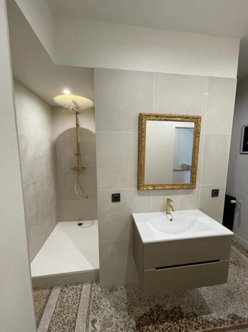 Appartement Chic Et De Caractere ! Saint-Cyr-au-Mont-d'Or Eksteriør bilde